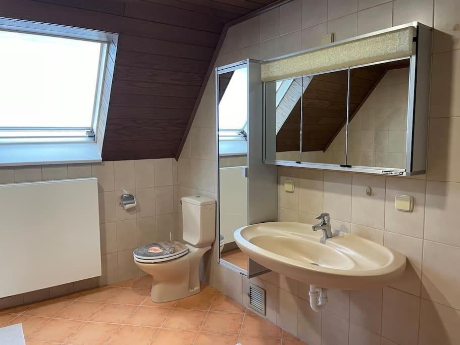 Maisonette Apartment Family & Business Naehe Heidelberg I Kueche I 6 Schlafplaetze Синшайм Екстериор снимка